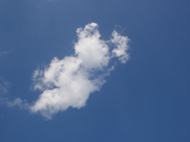 p8150051.jpg